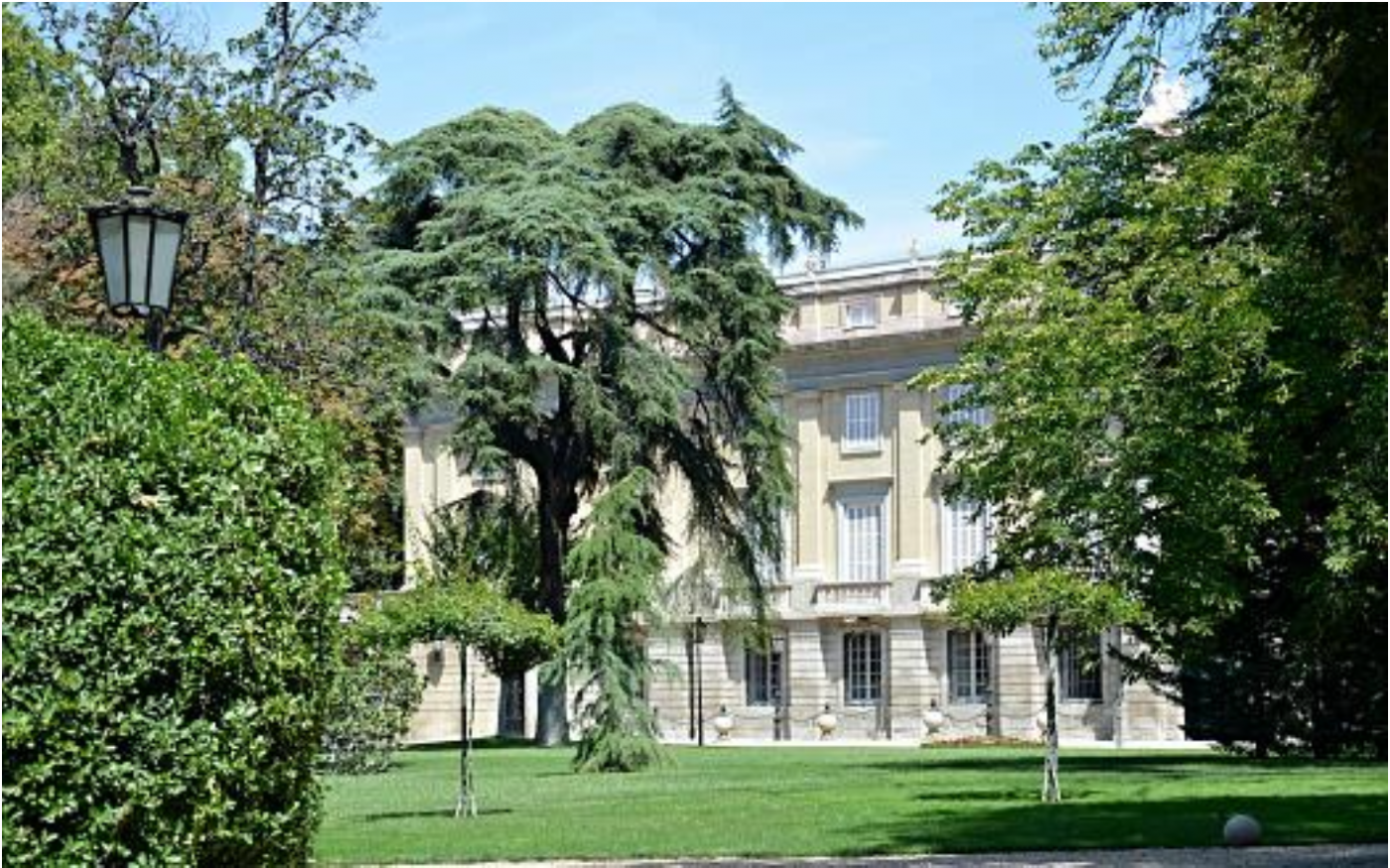 VIAJE: VISITA AL PALACIO DE LÍRIA Fundación Casa de Alba.