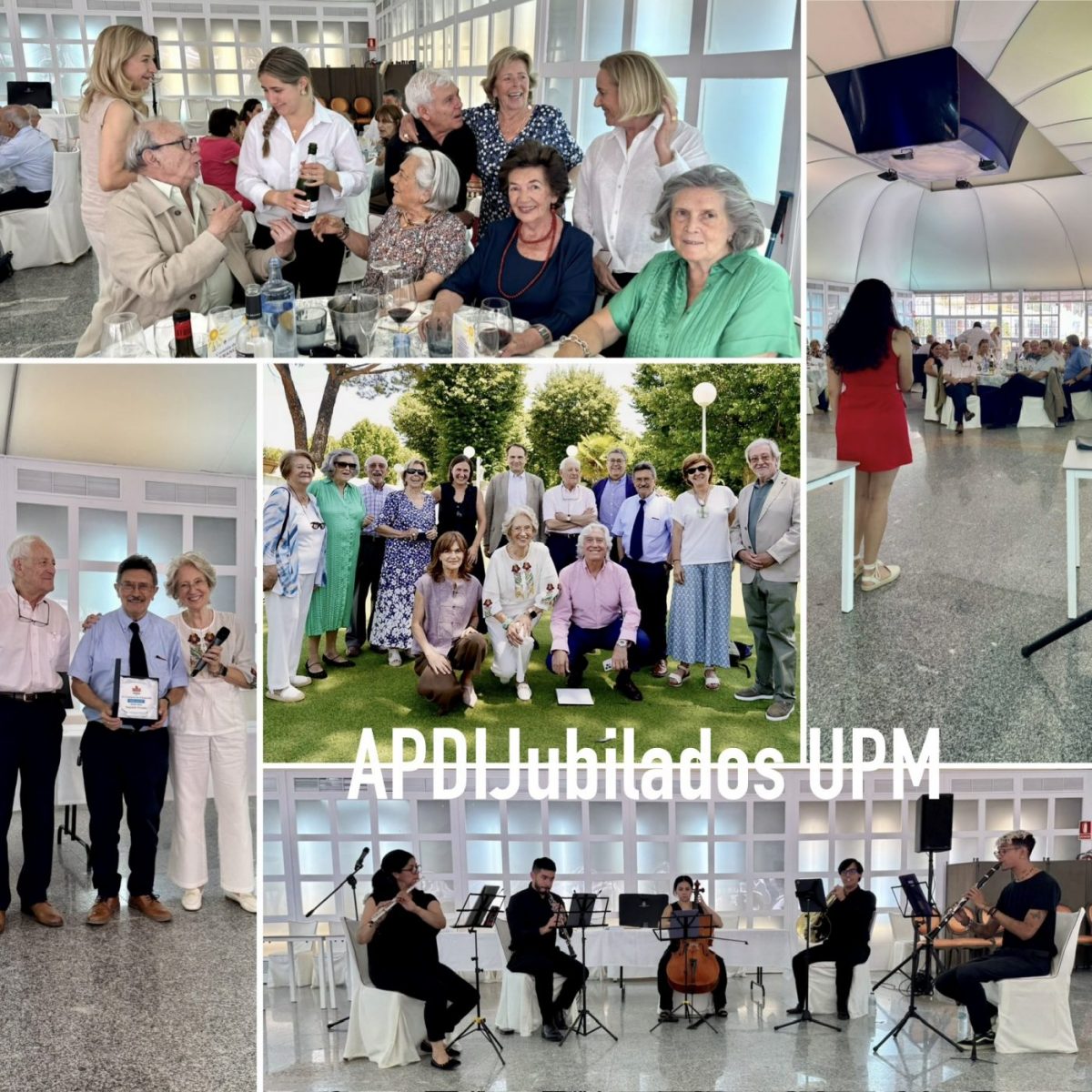 APDIJ Almuerzo NAVIDAD 2024